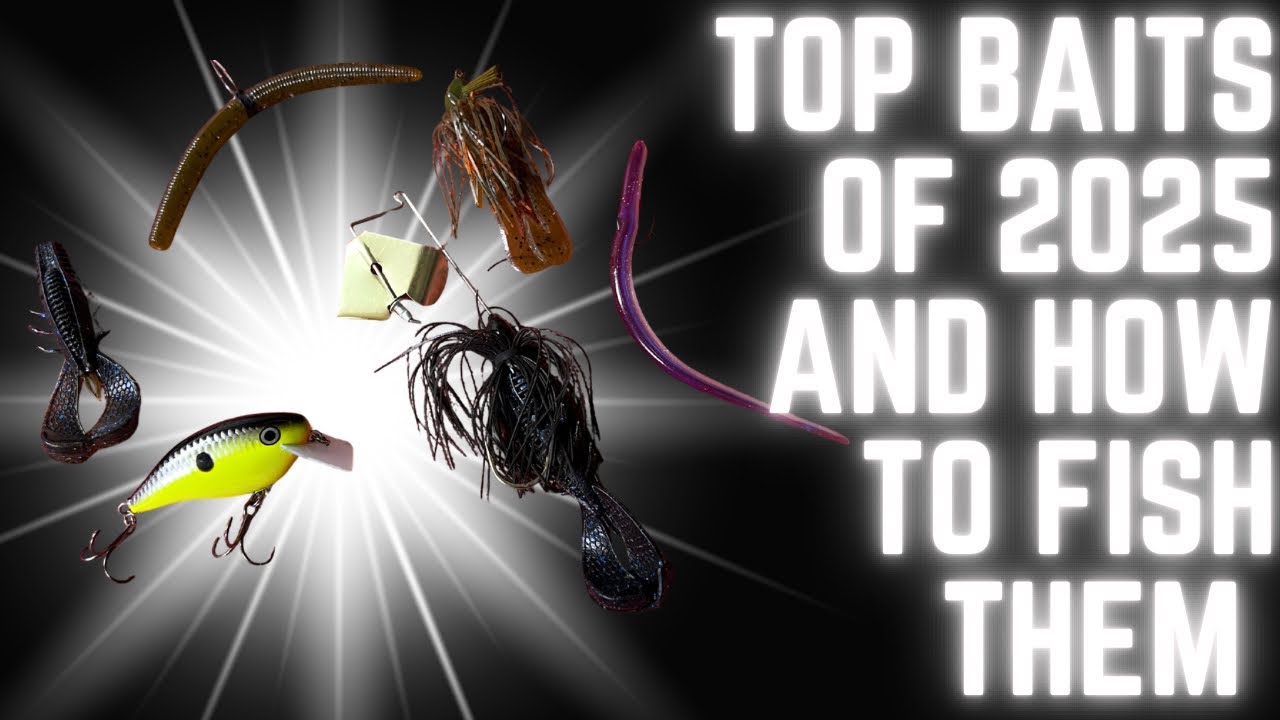 Best Baits Of 2025