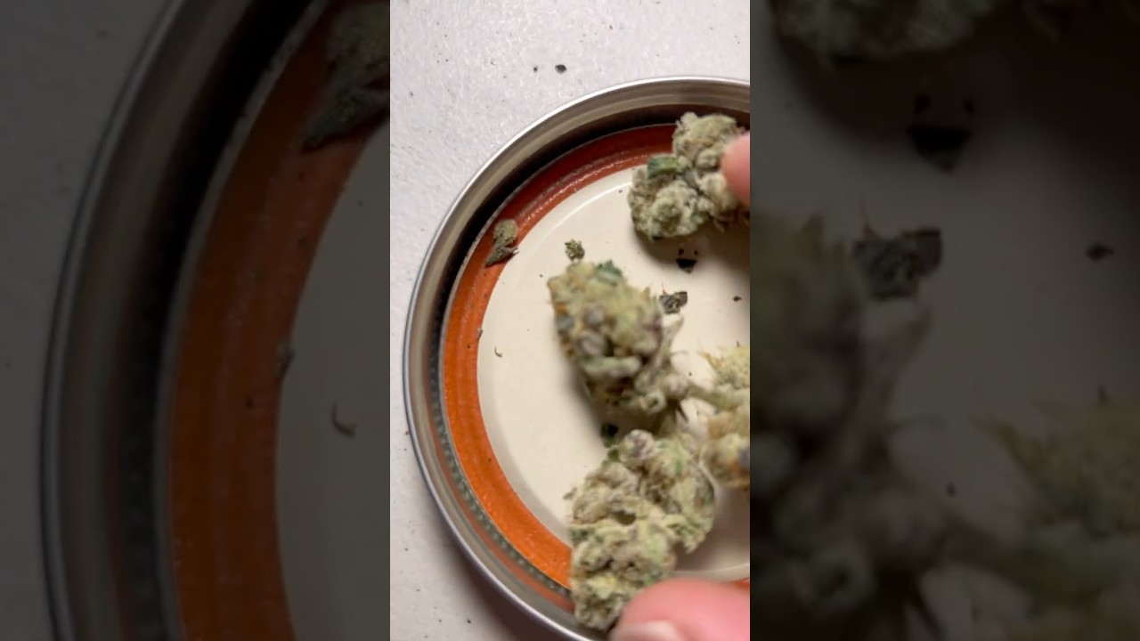BLUE NERDZ smoke report! big fat bong tokes FTW! BONG RIP!