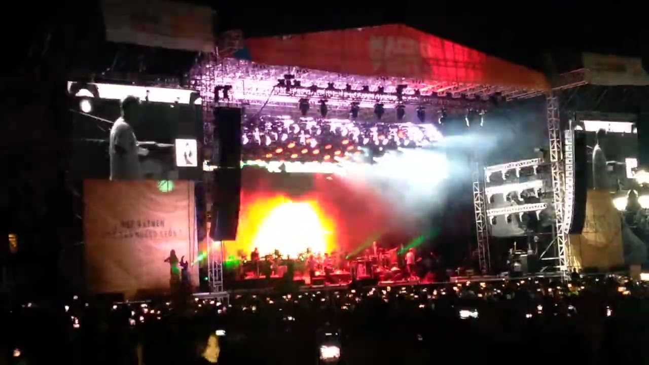 Los Fabulosos Cadillacs | Mal bicho | Macrofest 2024 #losfabulososcadillacs #macrofest