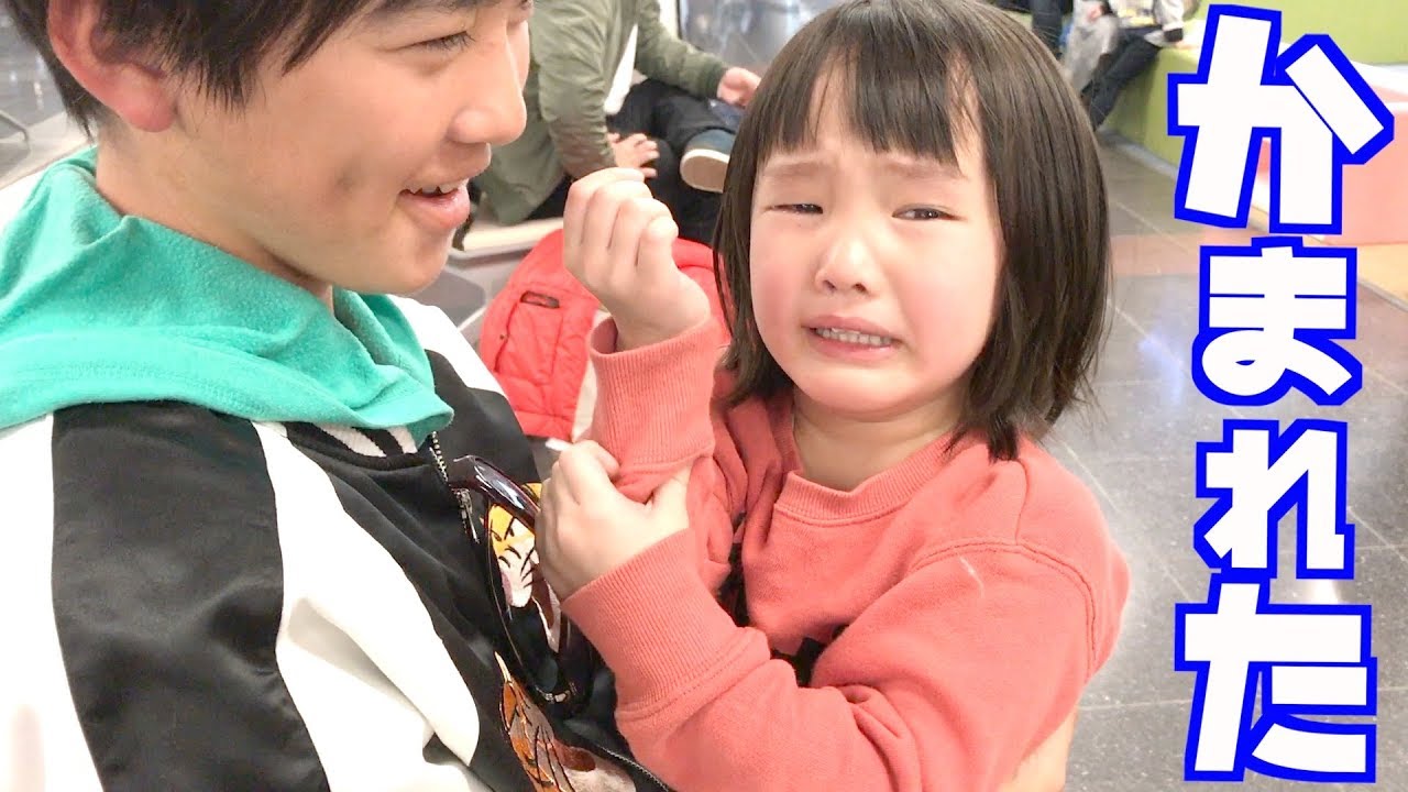 ココロとケンカして号泣する４歳のナナタン！【ココロマン普段の様子】