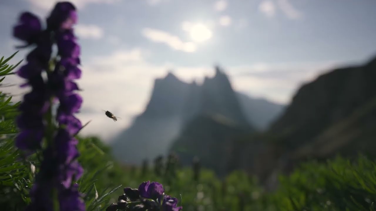 szortstory reel | 2026