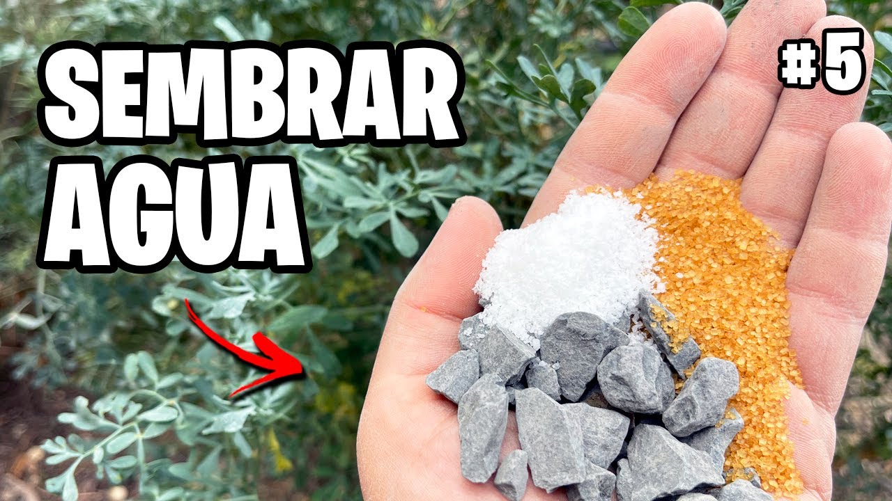 Cómo Sembrar AGUA 💦 + Planto una Paulownia en el Jardín! Vlog #5 | La Huerta de Ivan