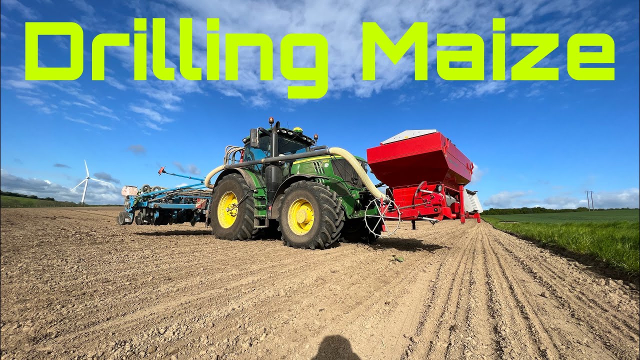Big Maize Drilling Day! Bit of Everything Today!