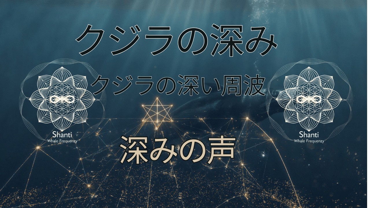 🌑 クジラの深い周波 🐋#愛 #静けさ #癒し #クジラ #オルカ #クジラ周波数 #迷走神経 #私はある #元の周波数 #周波数ヒーリング #内なる平和 #ヒーリングミュージック