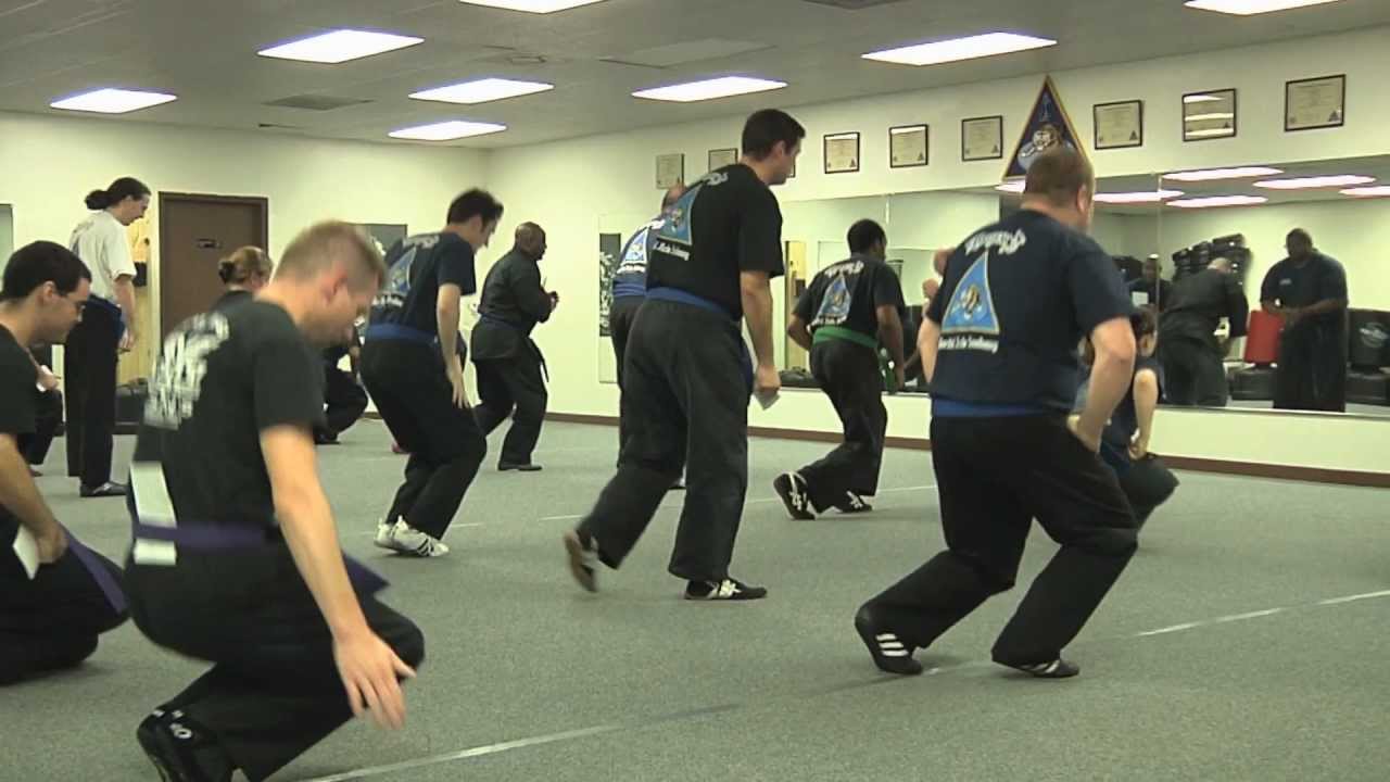 Modern Kenpo (2011)