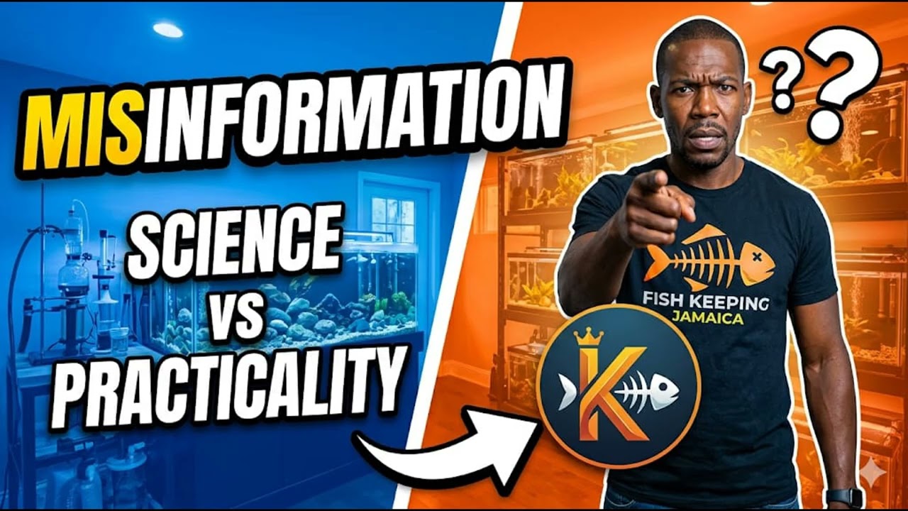 BEN OCHART fish keeping simplified is WRONG - About Low-Tech Aquariums: My Low-Maintenance Setup