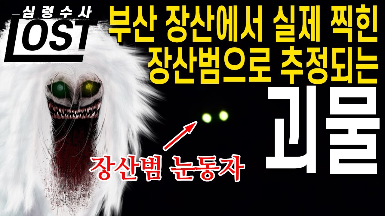 (ENG)전국민을 공포에 휩싸이게 한 장산범 괴담 | 심령수사 LOST
