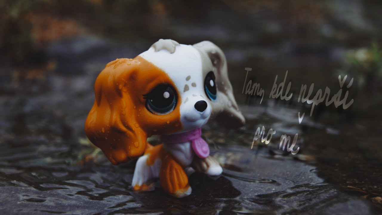 Tam, kde neprší pro mě. [Littlest pet shop]