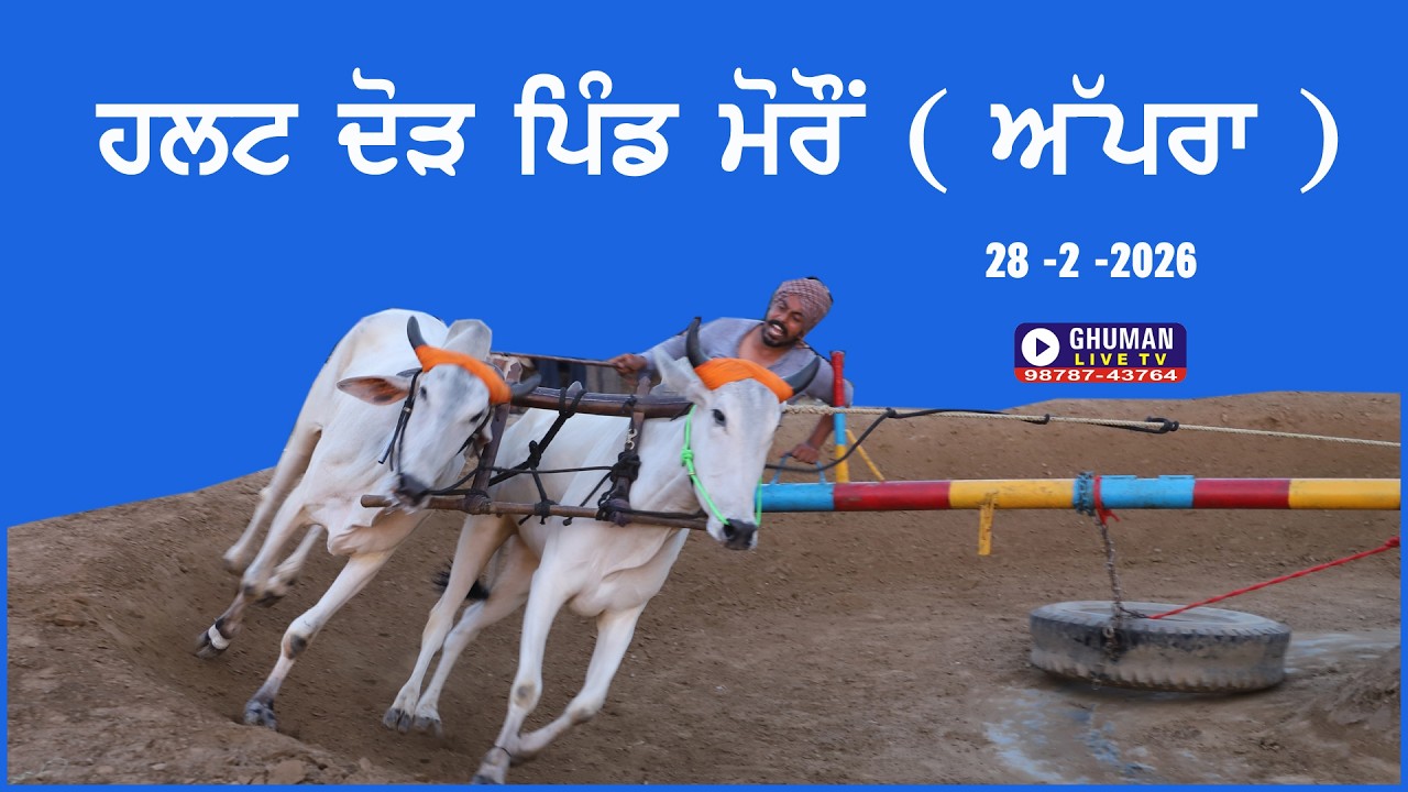 ਹਲਟ ਦੌੜ // ਪਿੰਡ ਮੋਰੋ // ਜਲੰਧਰ // 28-2-2026