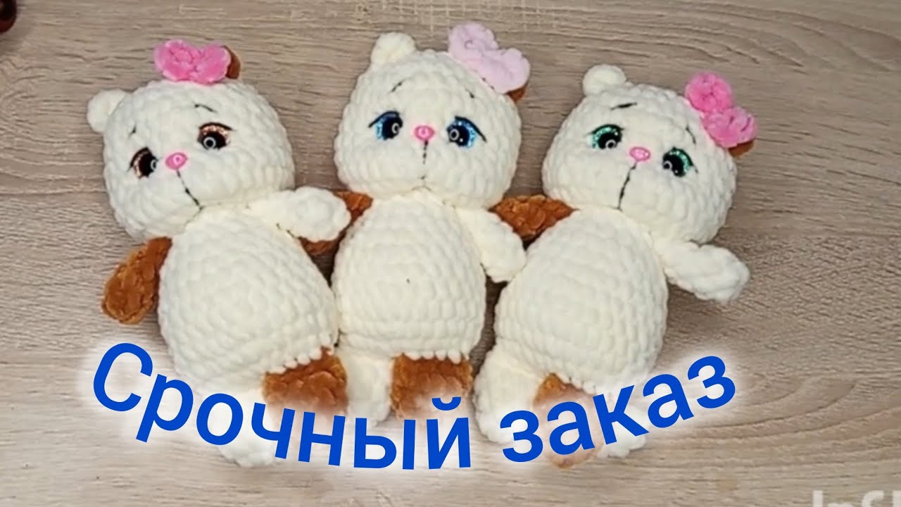 Срочный ДОзаказ/  Басики моя любовь ♥️/ Подарки от девочек 🎁/ Мой котик 😻 Мэйн-кун 