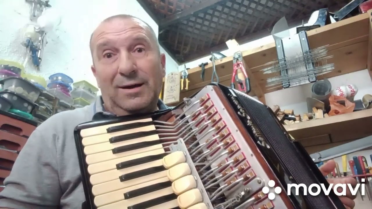 Servis harmonika Dane Loznica +38164 420 5721