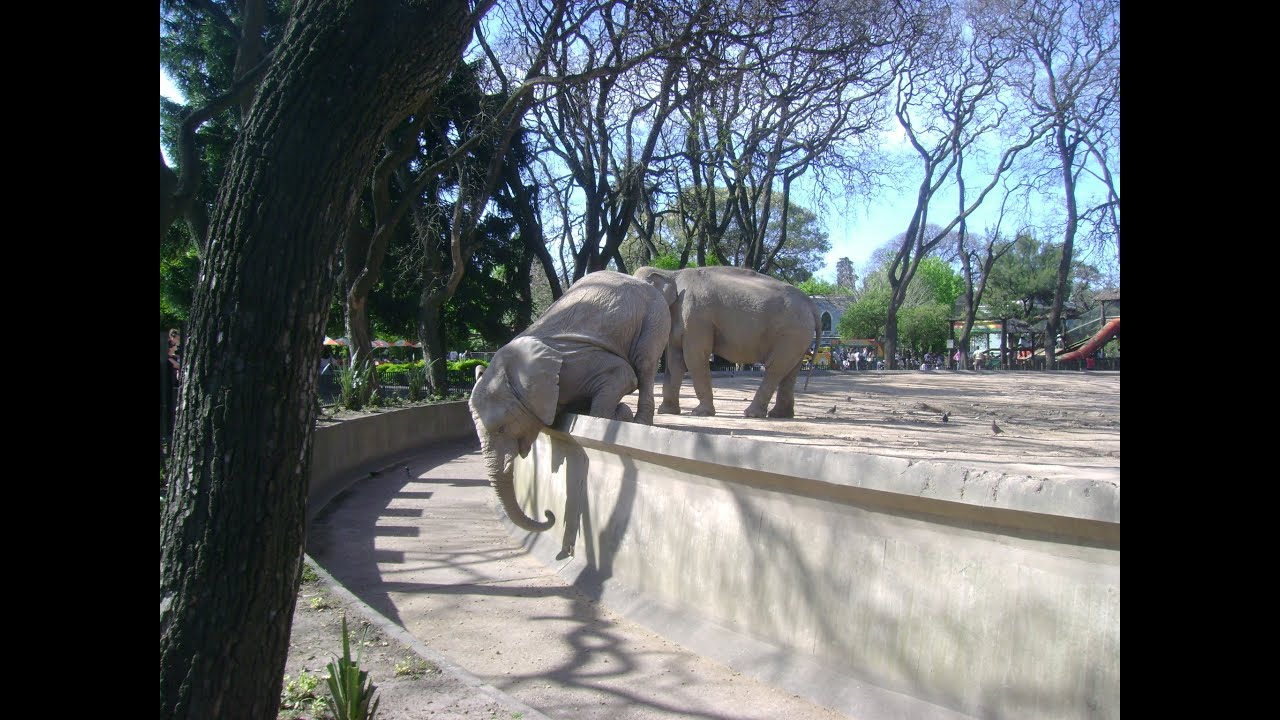 Zoológico de Buenos Aires