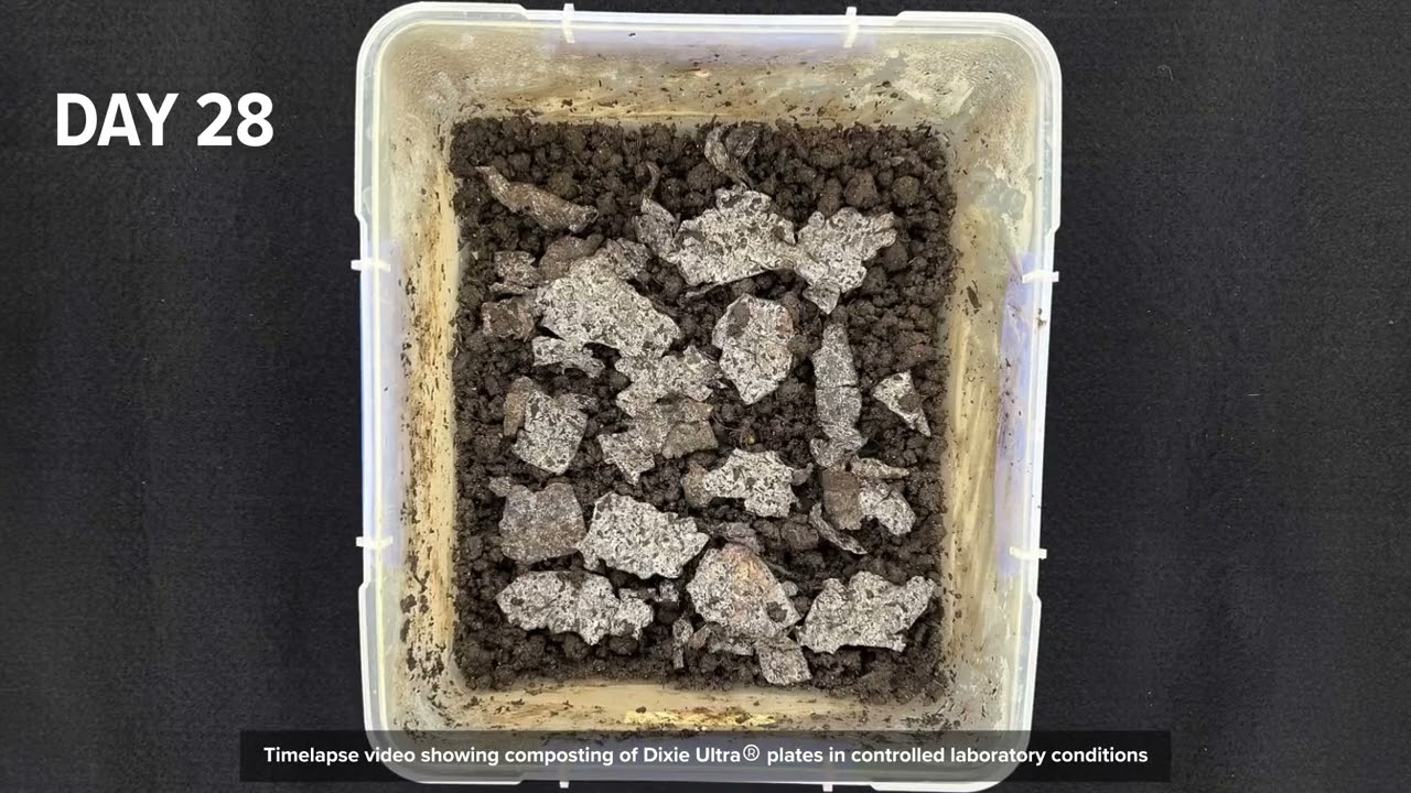 Dixie Ultra&reg; Plate Compostable Timelapse