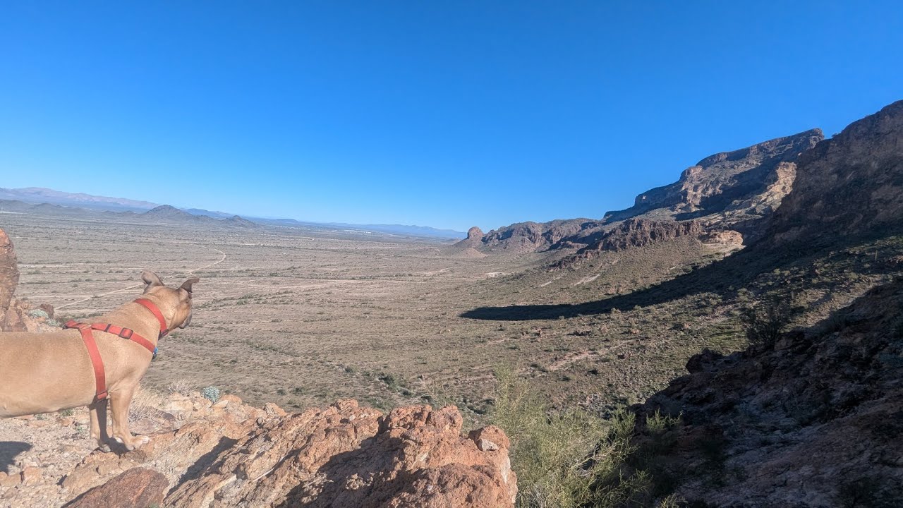 Our First Time Camping & Hiking at Saddle Mountain BLM – Winter Arizona Desert Adventure!