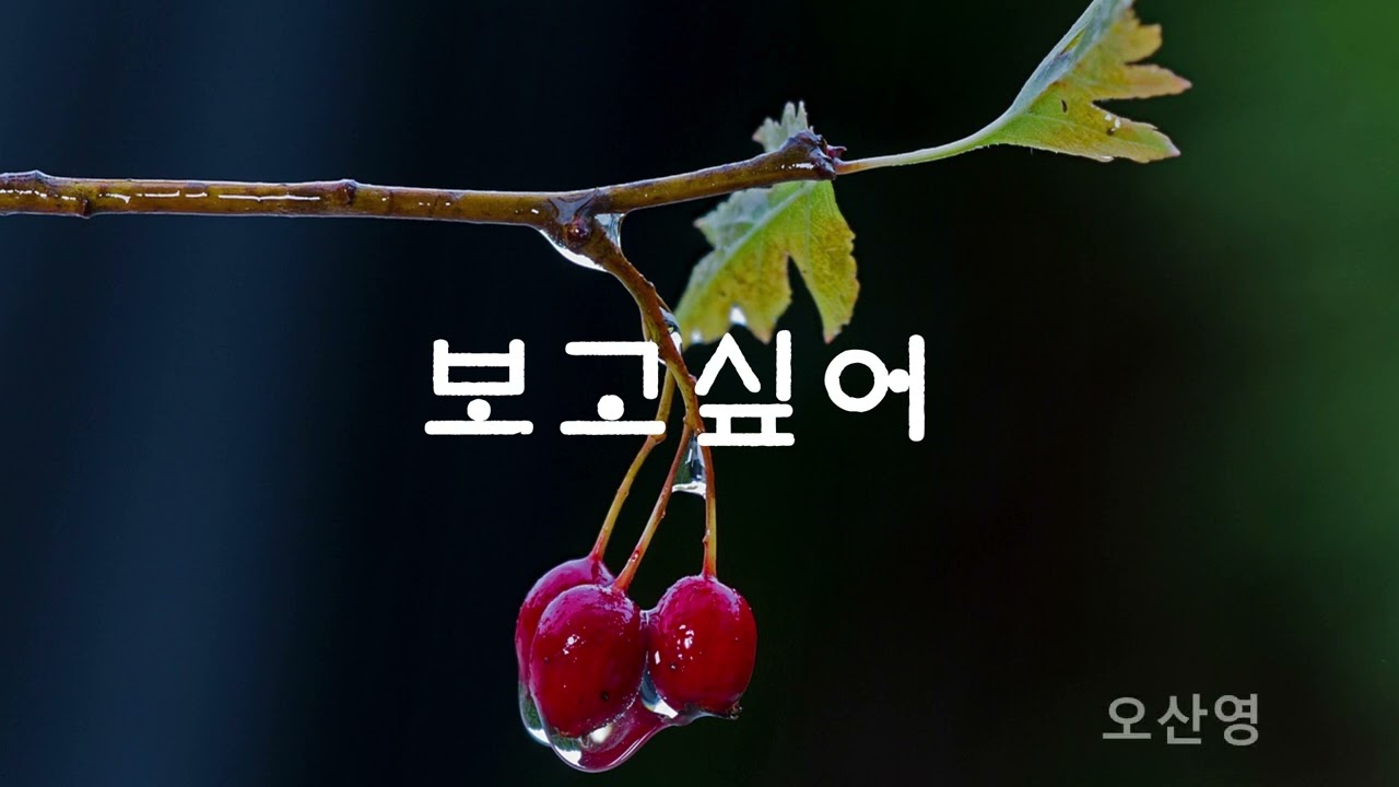 보고싶어  오산영