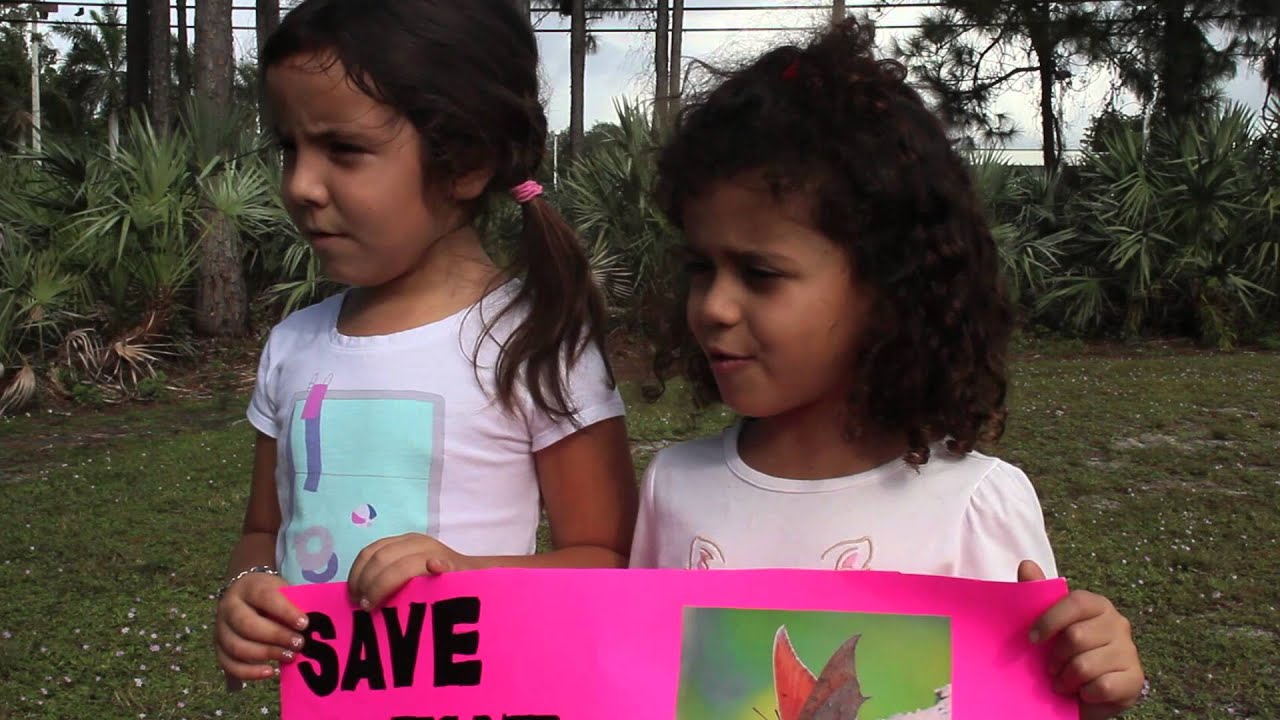 Save the Pine Rocklands