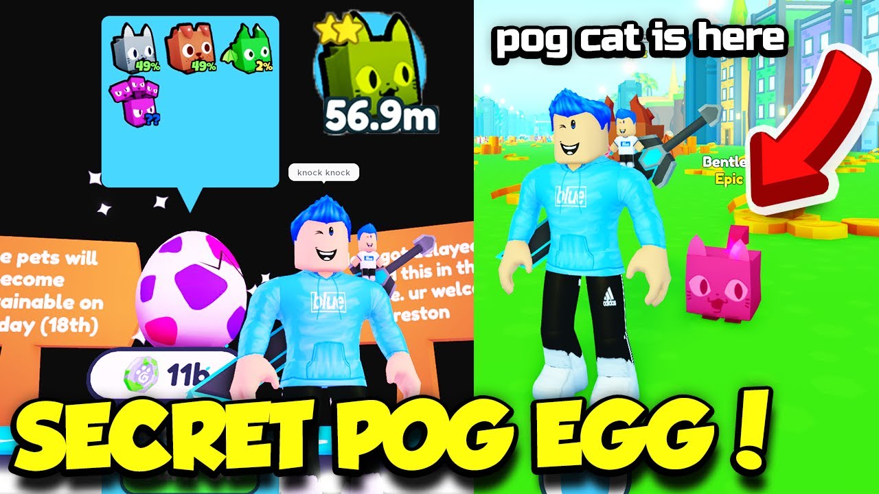 I Found The SECRET POG EGG In Pet Simulator X And FINALY GOT RAINBOW POGCAT PET!! (Roblox)