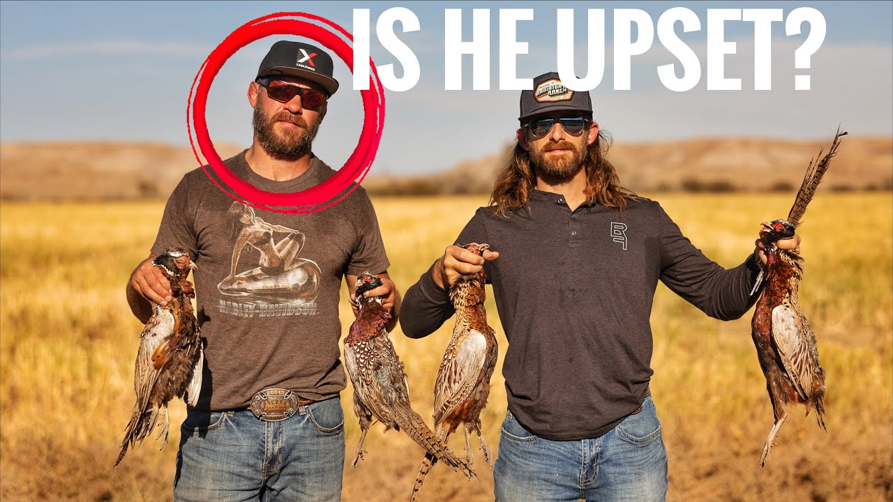 Pheasant Hunt Battle with Cowboy Cerrone! Rodeo Time 397