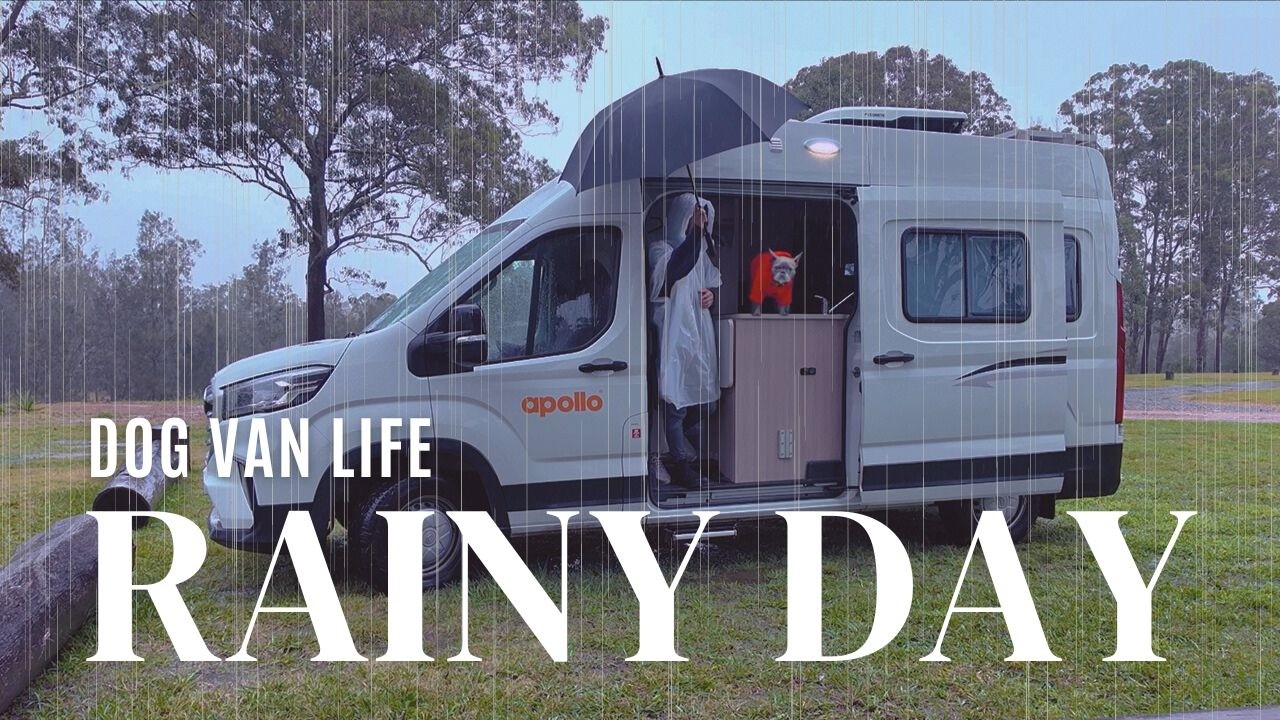 【雨の日の車中泊】でも愛犬といたら幸せで笑える日になった