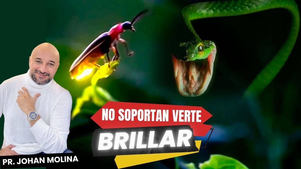 🔴 NO SOPORTAN VERTE BRILLAR 💡