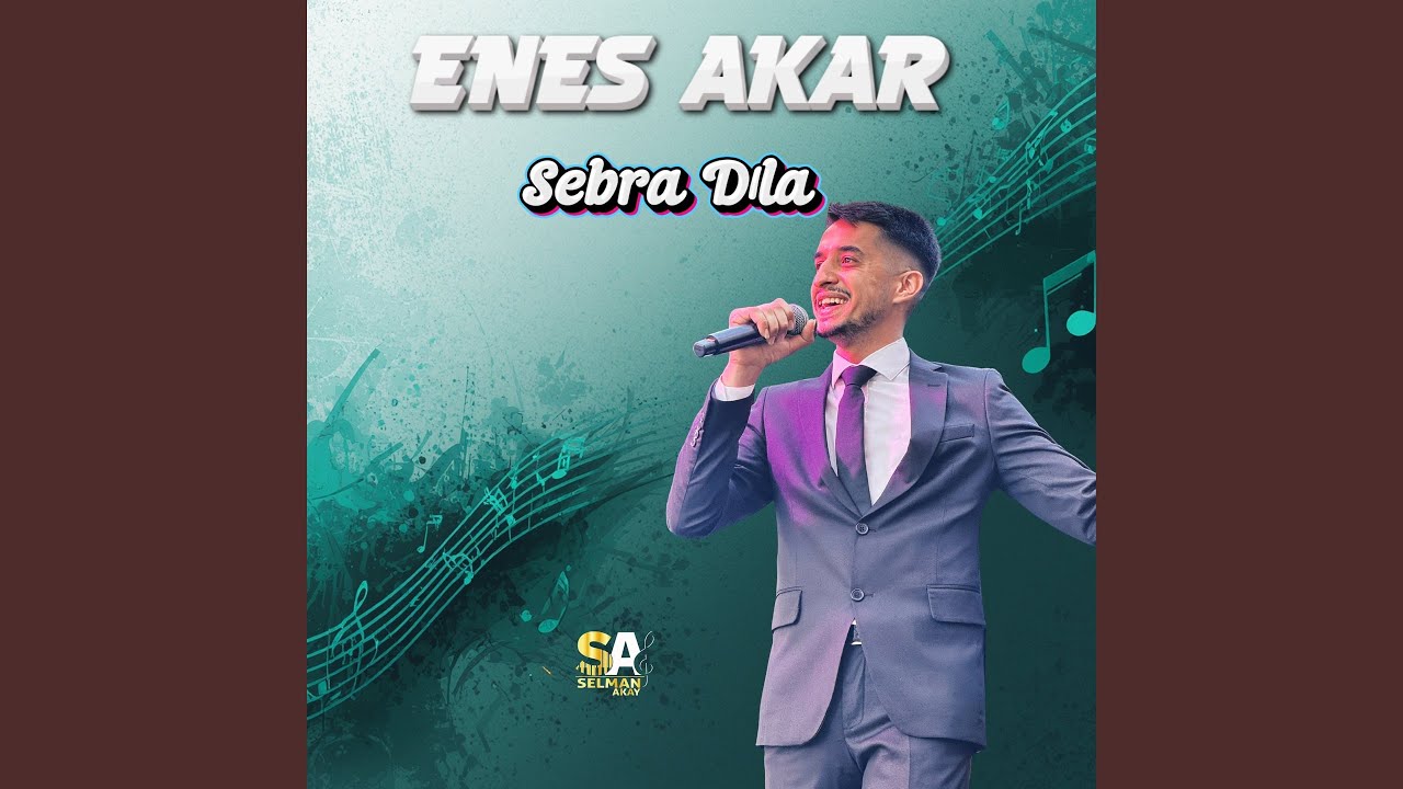 Sebra Dıla