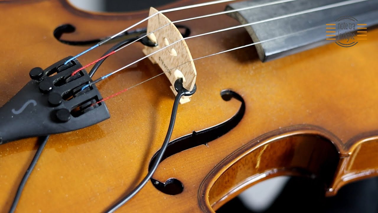 Come amplificare un violino: microfono, pickup e violino elettrico