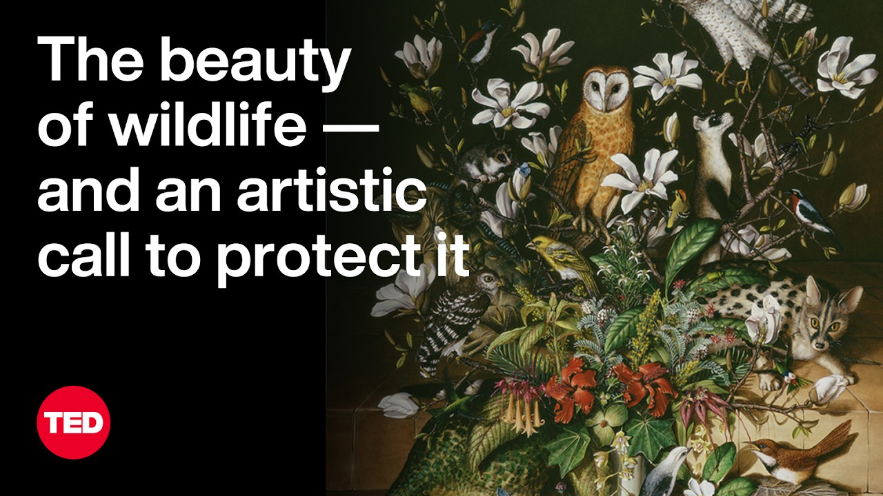 The Beauty of Wildlife &mdash; and an Artistic Call to Protect It | Isabella Kirkland | TED