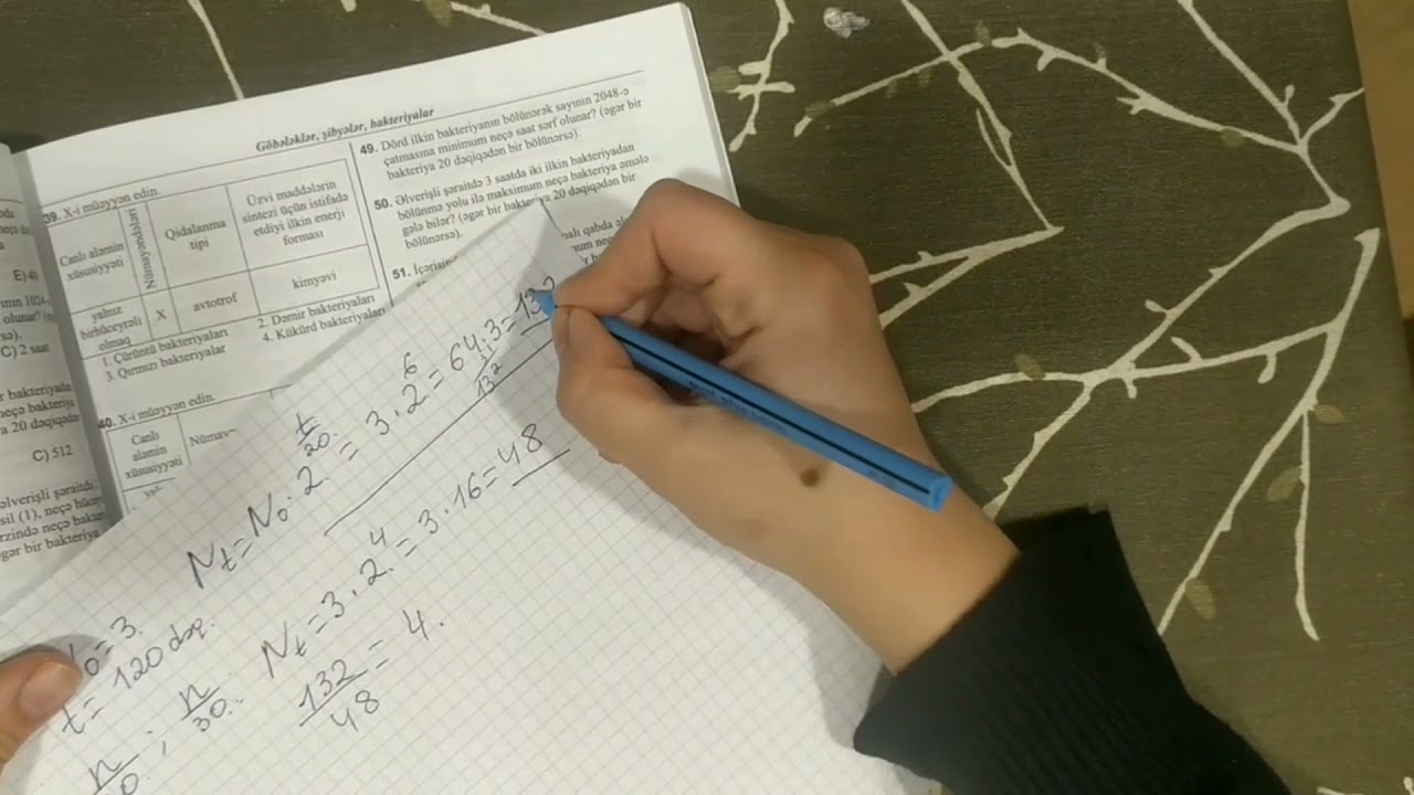 Bakteriyalar.Dim toplu test bank məsələ həlli