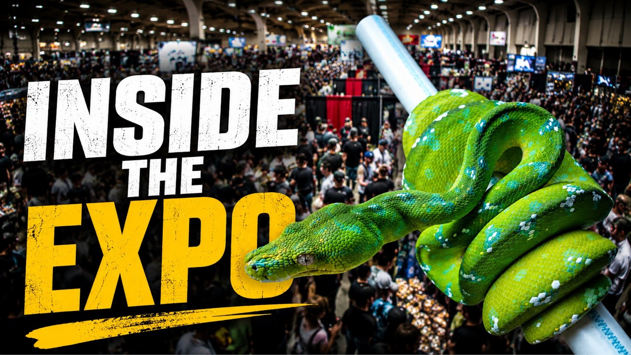 Внутри Reptile Super Show | Одна из крупнейших рептилийных выставок Америки