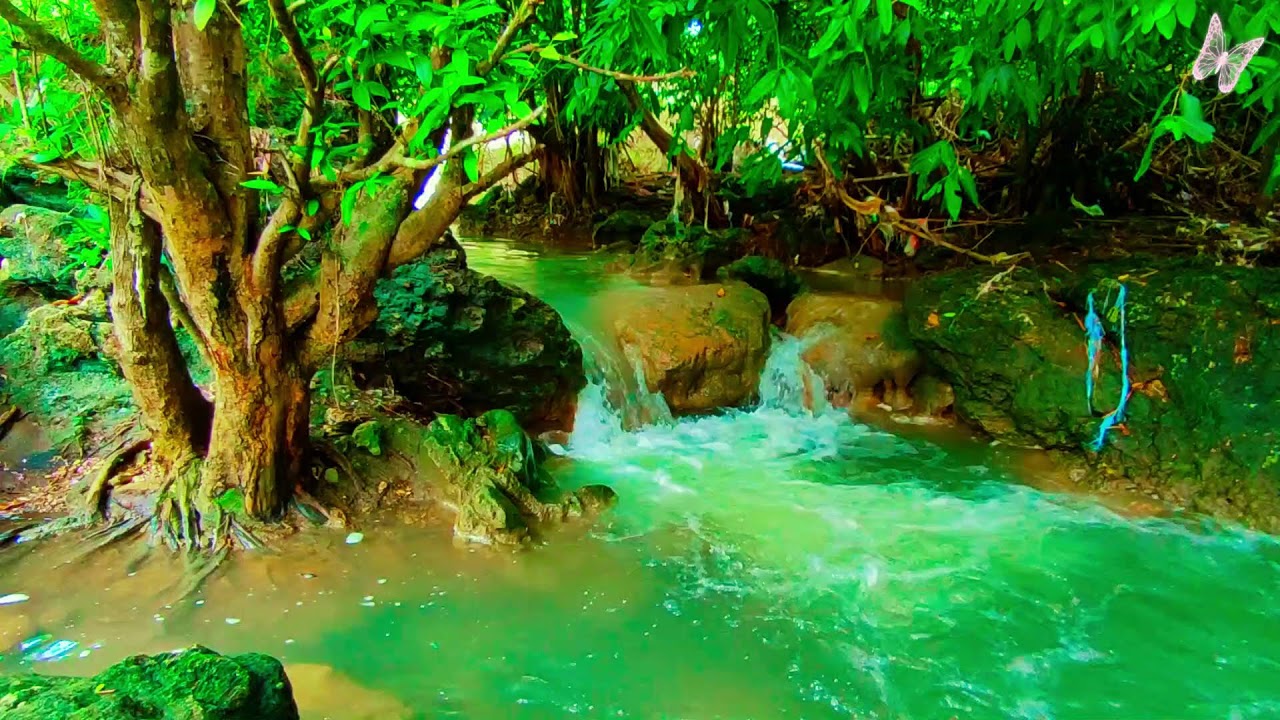 Relaxing Music For Stress Relief, Anxiety and Depressive States🌲Heal Mind, Body and Soul 54