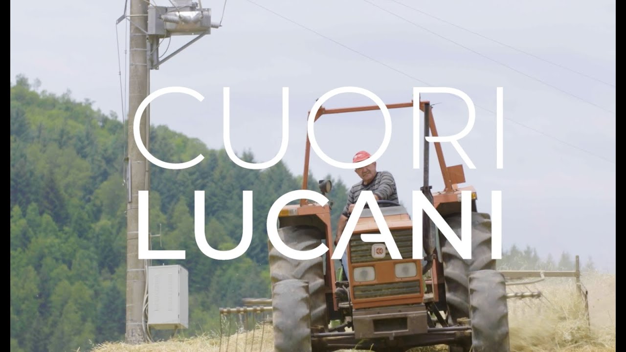 Francesca, produttrice del famoso Canestrato di Moliterno - Cuori Lucani