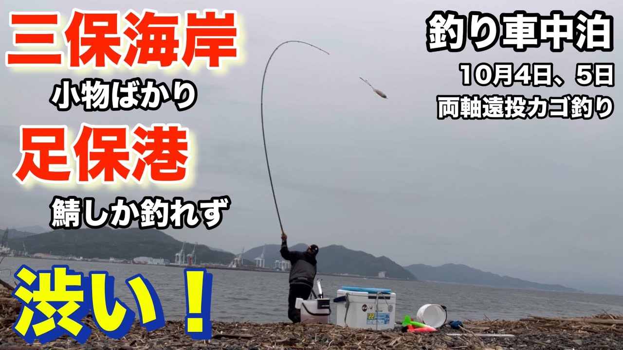 【三保海岸】【足保港】両軸遠投カゴ釣り、小物しか釣れないオヤジ！釣り車中泊
