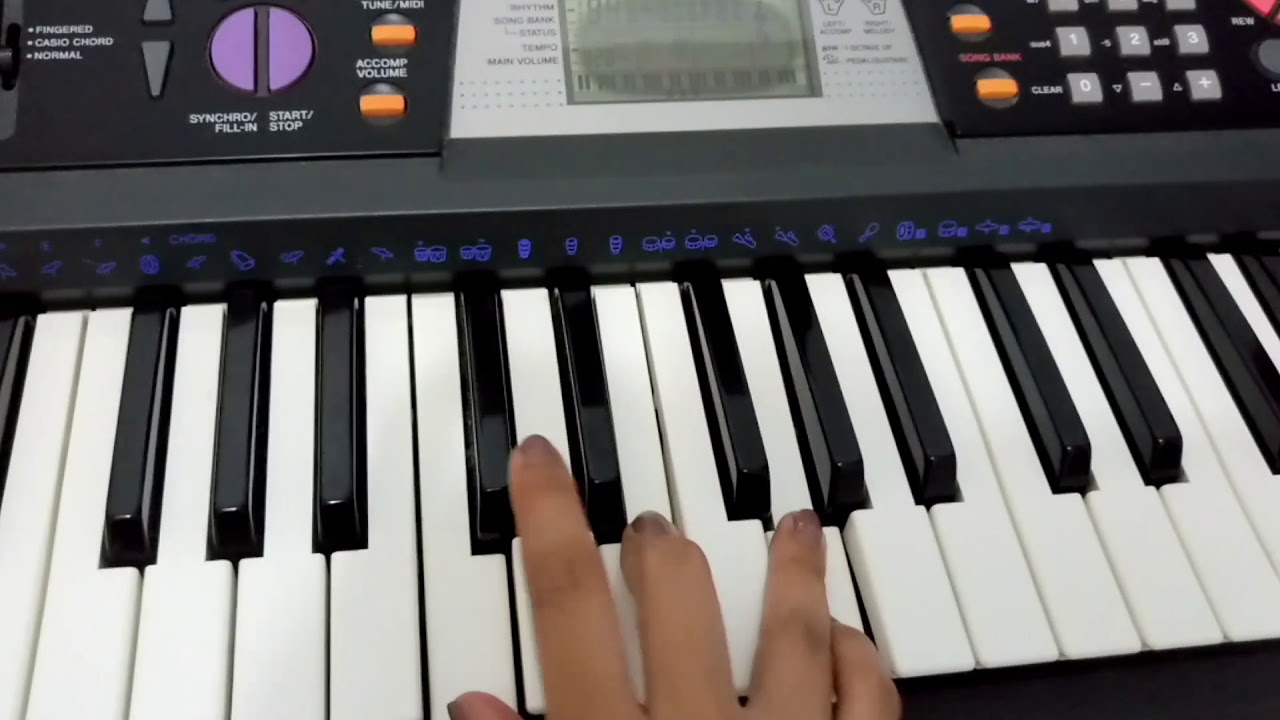 Teclado CASIO CTK - 501