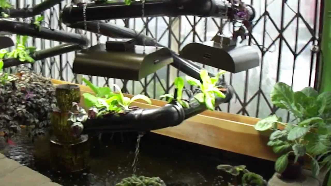 SD Hydro: Goes All Inda-Gro 4.20.12.MP4