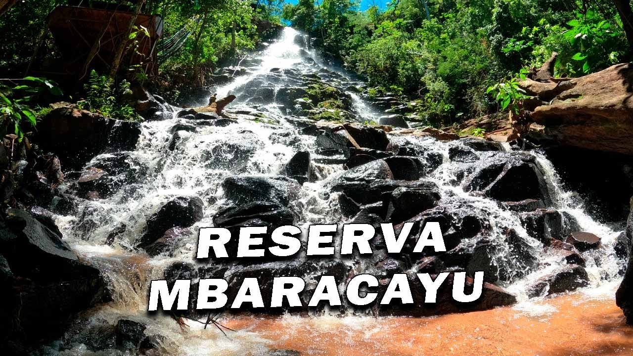 Tour a la Reserva del bosque Mbaracayú - Canindeyú Paraguay