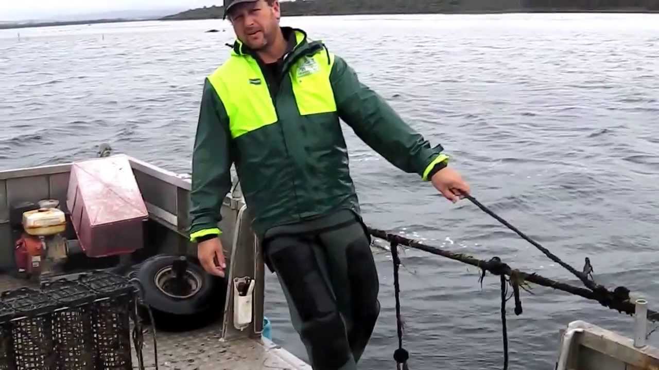 Seapa Oyster Baskets - Tasmania Subtidal