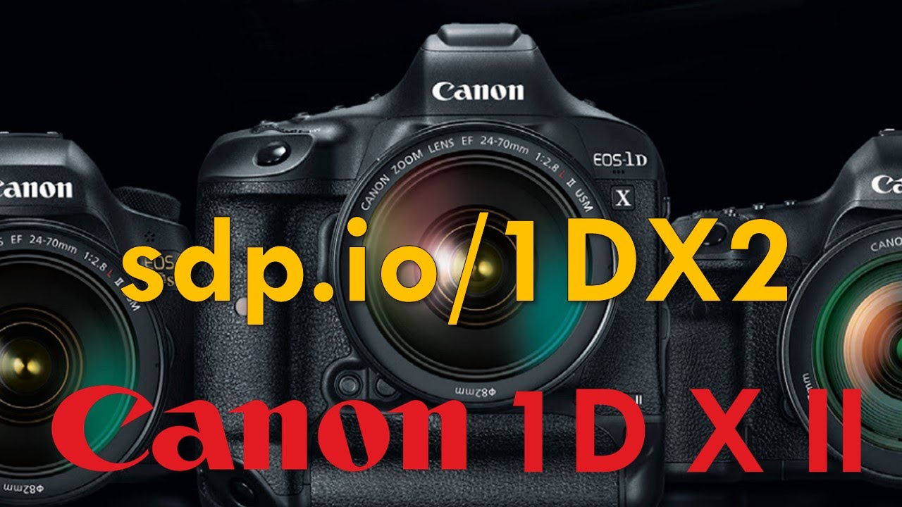 Canon 1DX Mark II Preview (vs D5, 5DS-R)