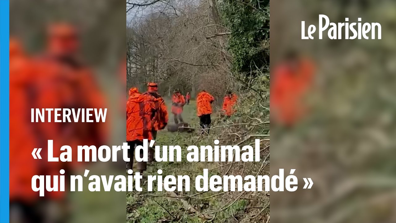 Sanglier domestiqu&eacute; abattu par un chasseur : un an apr&egrave;s, Alain en a encore les larmes aux yeux