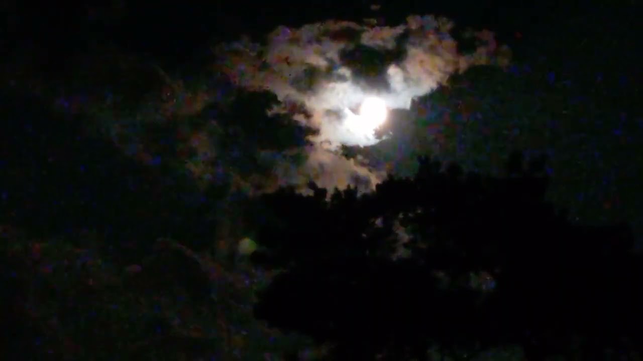 TWO ONE,  Michael Klee & The Mosquito Clouds #Jazz #Live #intuive #kalimba #peace #meditation #moon