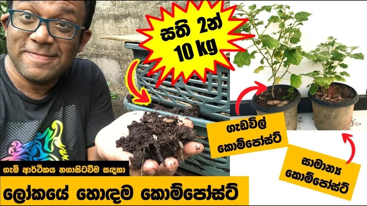 ලෝකයේ හොඳම ගෘහ කොම්පෝස්ට් පද්ධතිය : සති 2ට කිලෝ 10 ක්