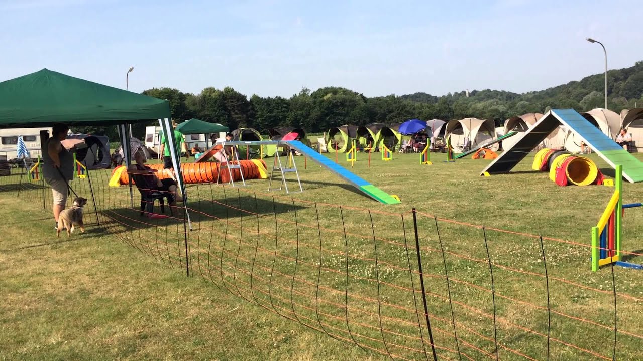Agility A1 Anfänger Turnier Stella. Platz 4 in 31 Sekunden!