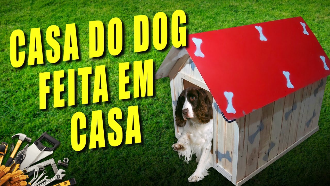 Como fazer Casinha de Cachorro em Casa e Gastando Pouco