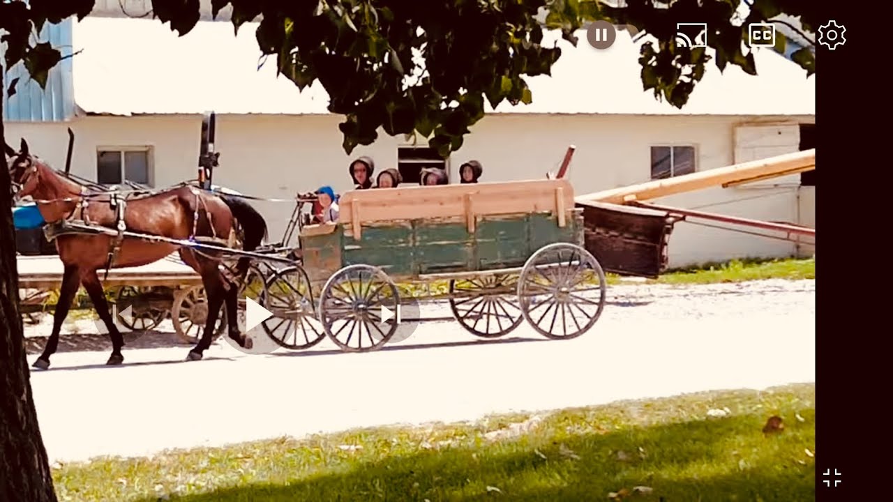 Amish life (Iowa )