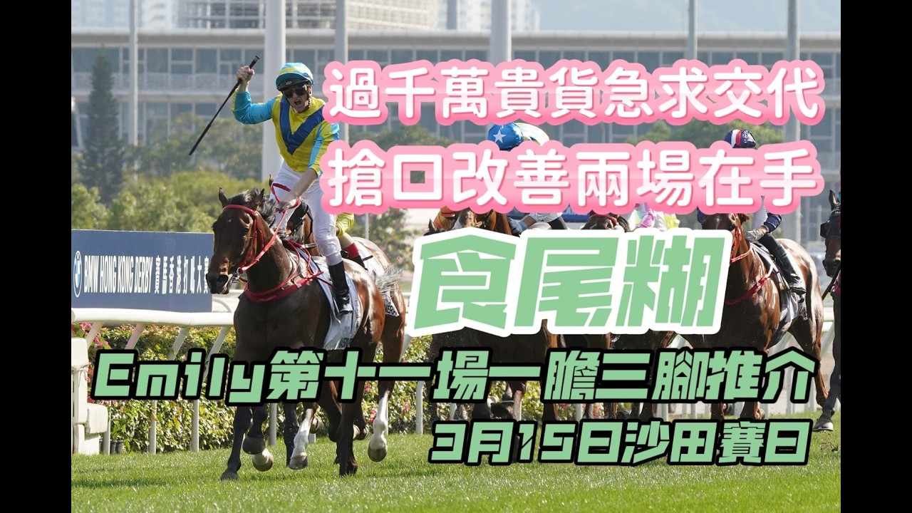 過千萬貴貨急求交代||搶口改善兩場在手||食尾糊||Emily第十一場一膽三腳推介||3月15日沙田賽日