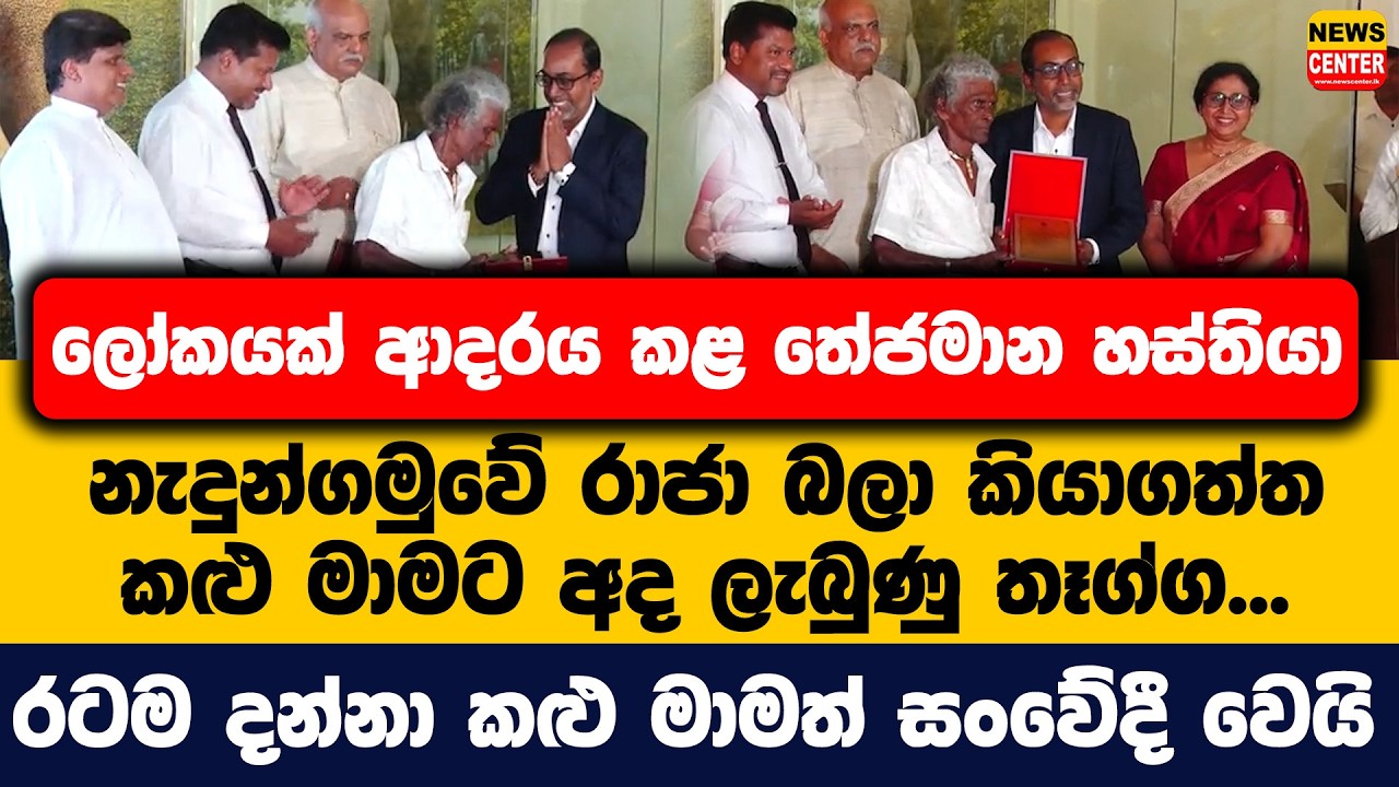 ලෝකයක් ආදරය කළ තේජමාන හස්තියා නැදුන්ගමුවේ රාජා බලා කියාගත්ත කළු මාමට අද ලැබුණු තෑග්ග...