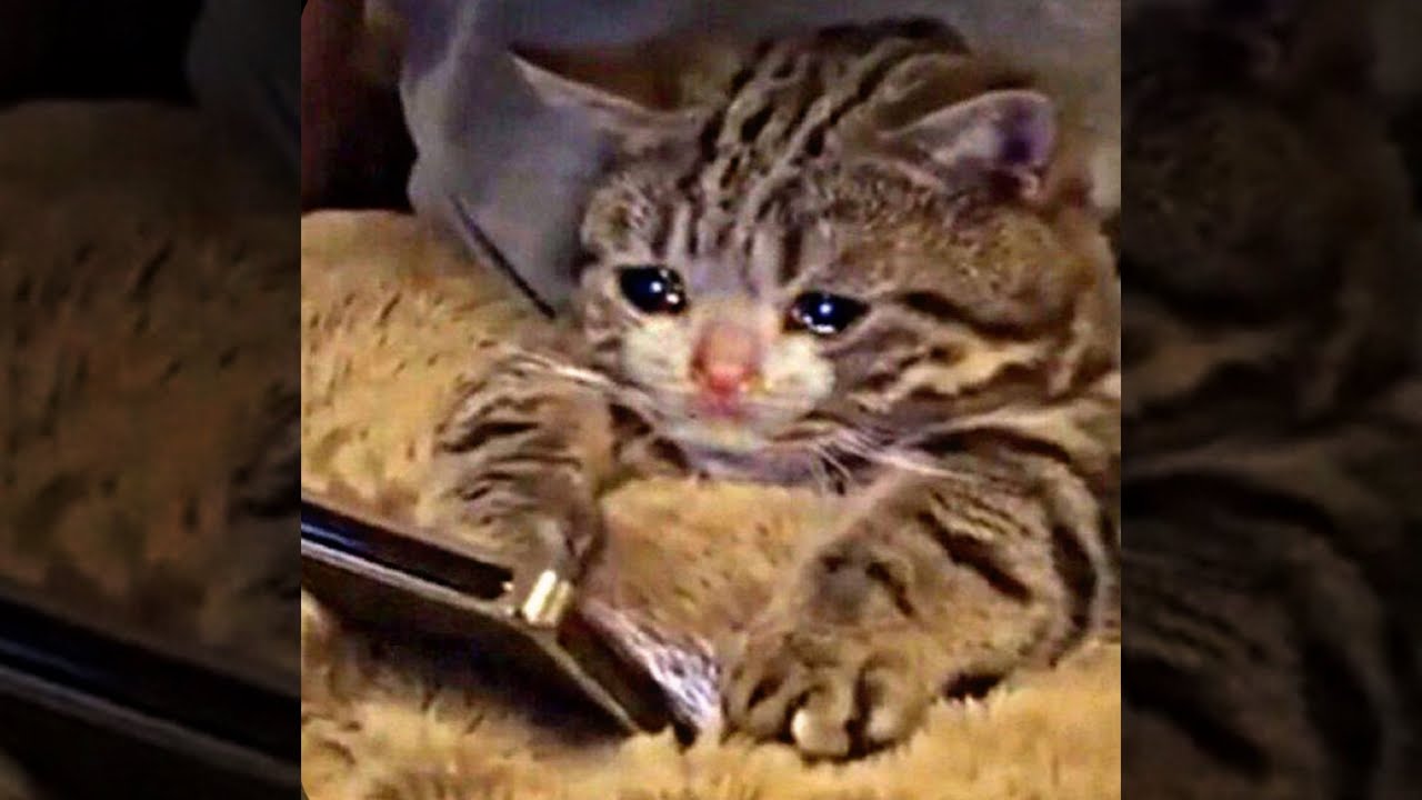 cry - rihanna (sped up)