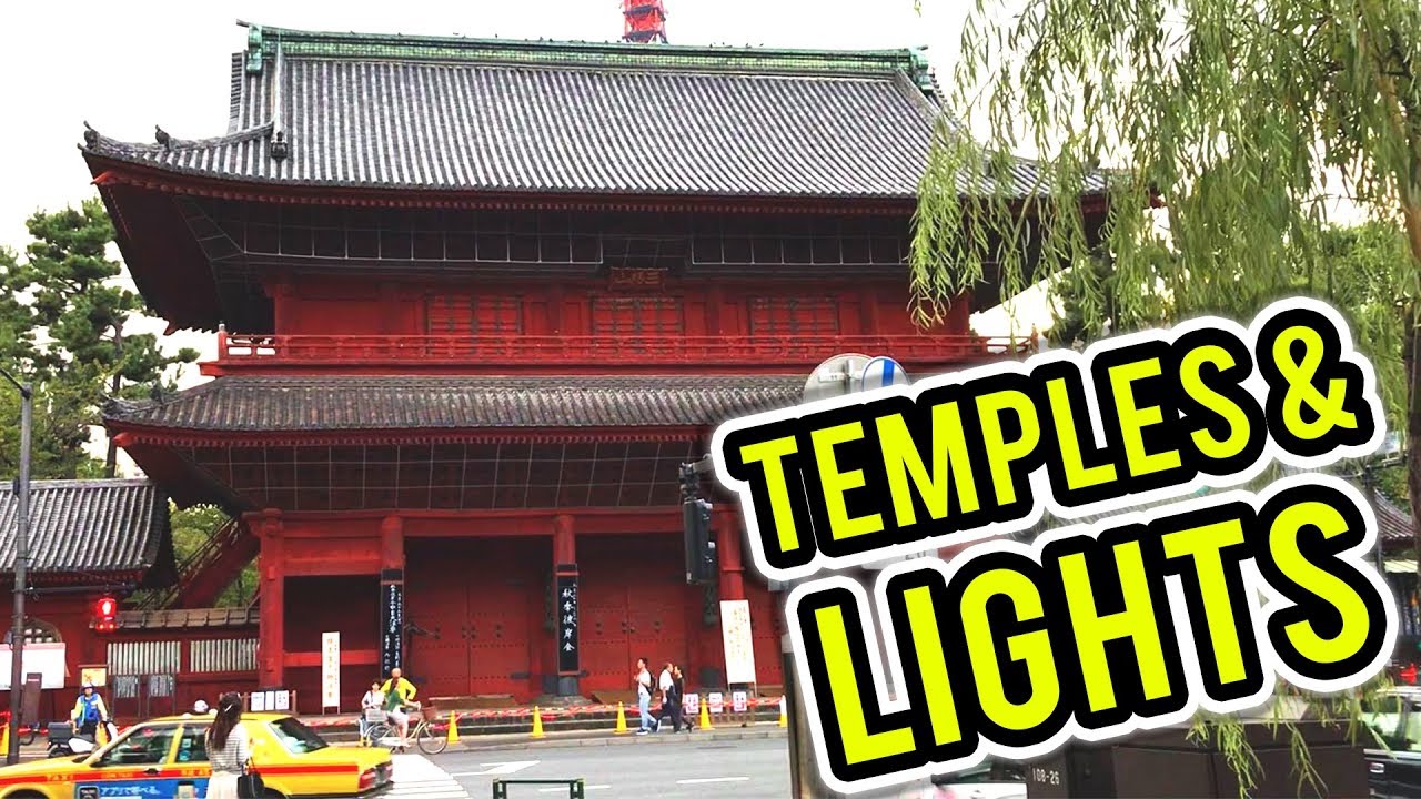 TEMPLES & LIGHTS! - Zojoji Temple Tour & Restoring Skyline Headlights