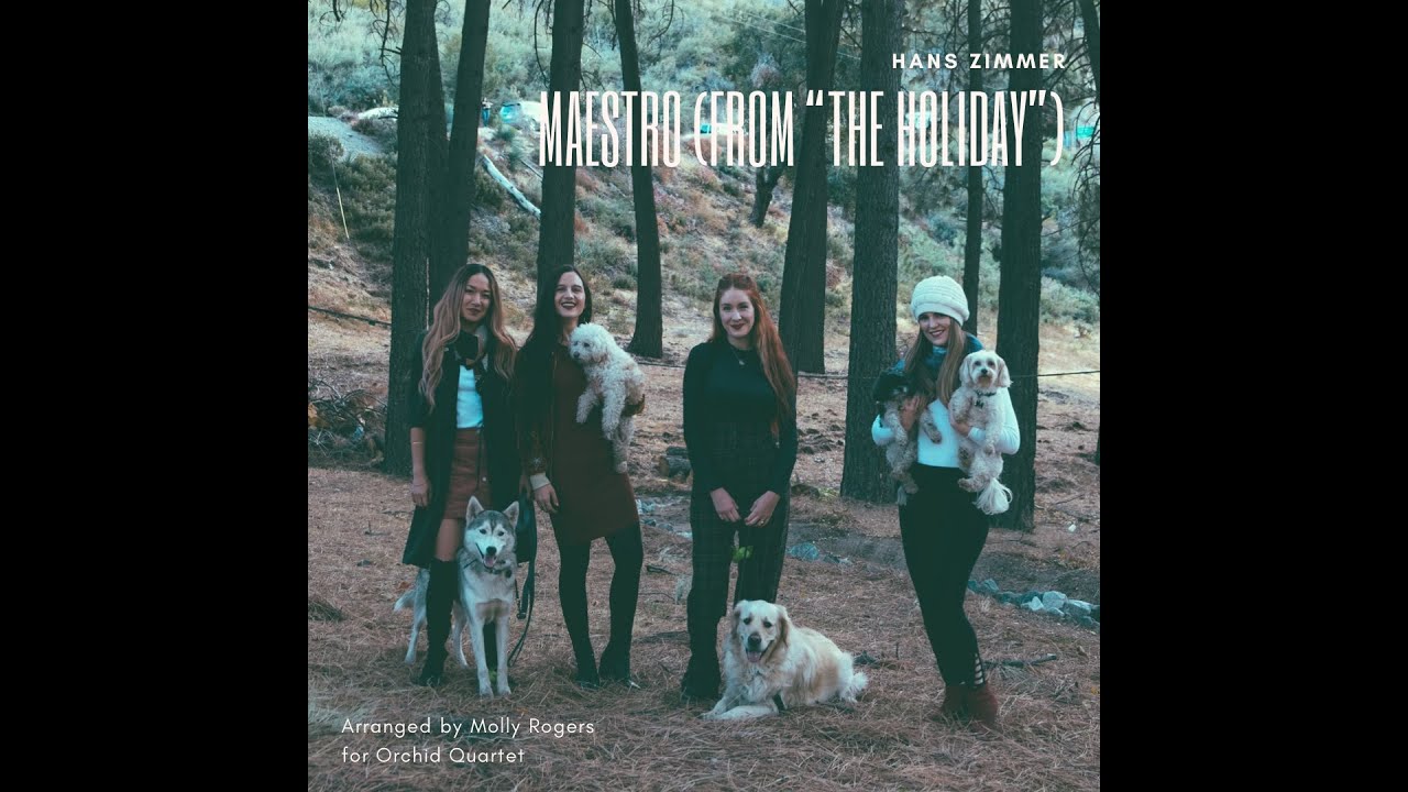 Maestro (from "the Holiday") by Hans Zimmer — Orchid Quartet