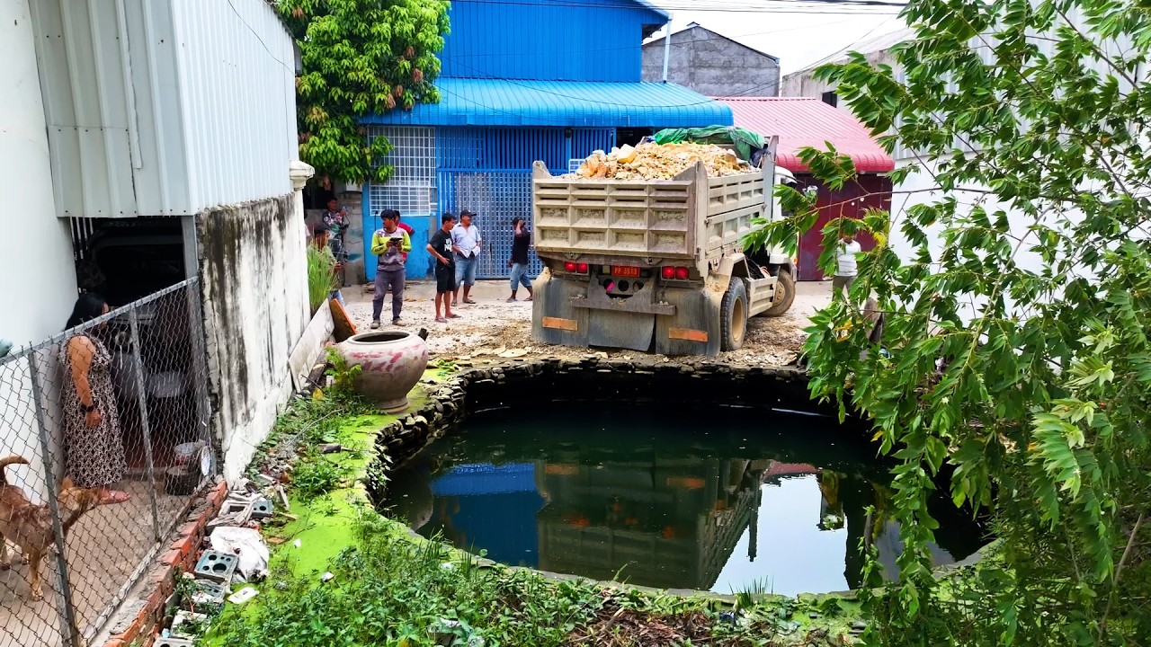 whole nice project landfill build house , truck transport soil stone , bulldozer push stone soil