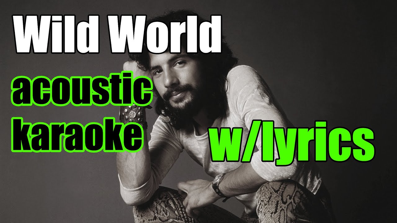 Wild World - Cat Stevens | (Acoustic Instrumental/Karaoke)